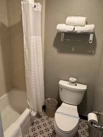 Shower and toilet