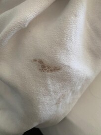 Found on bedding, was able to scratch some off with the back of the key card.