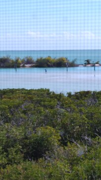 View from the living room, dining room and kitchen