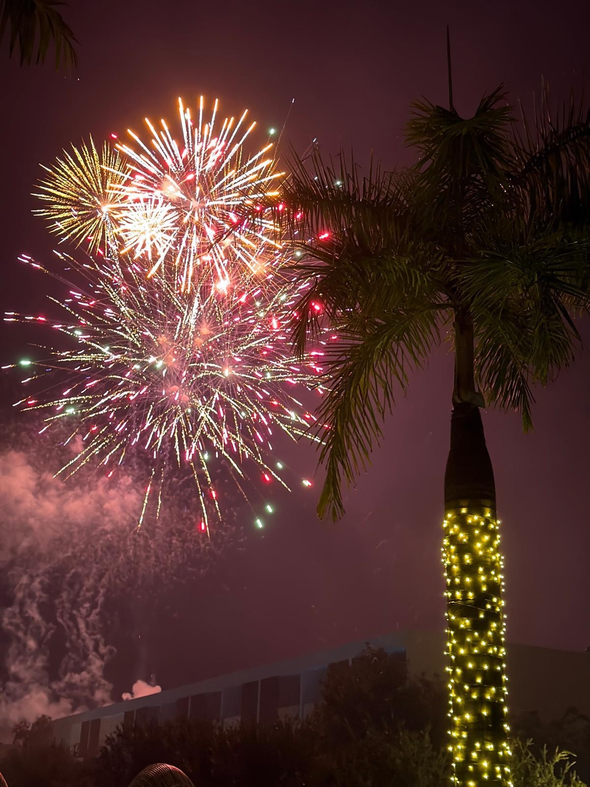 New Years Eve Party was fantastic.