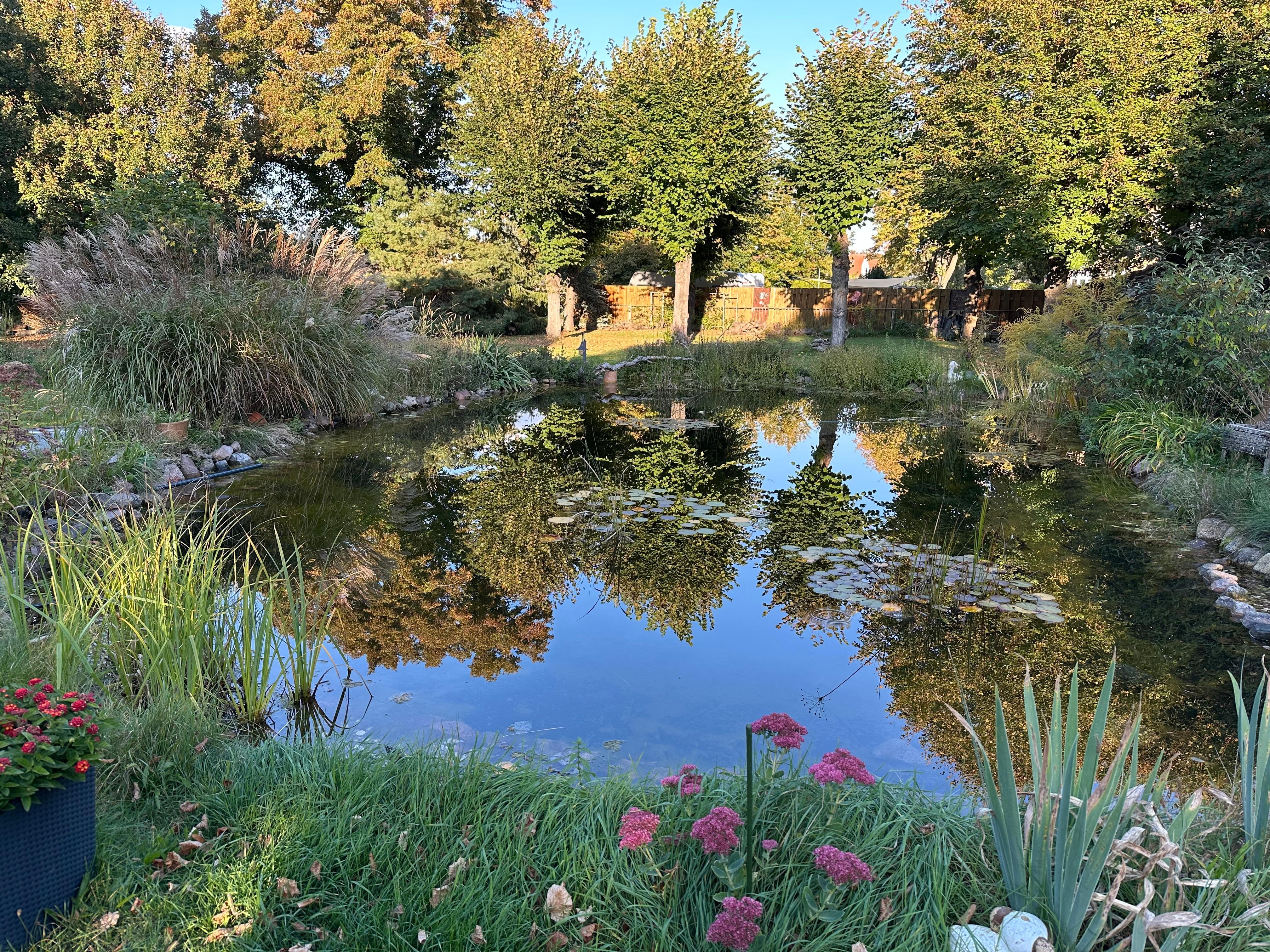 Kleiner Teich im Grundstück