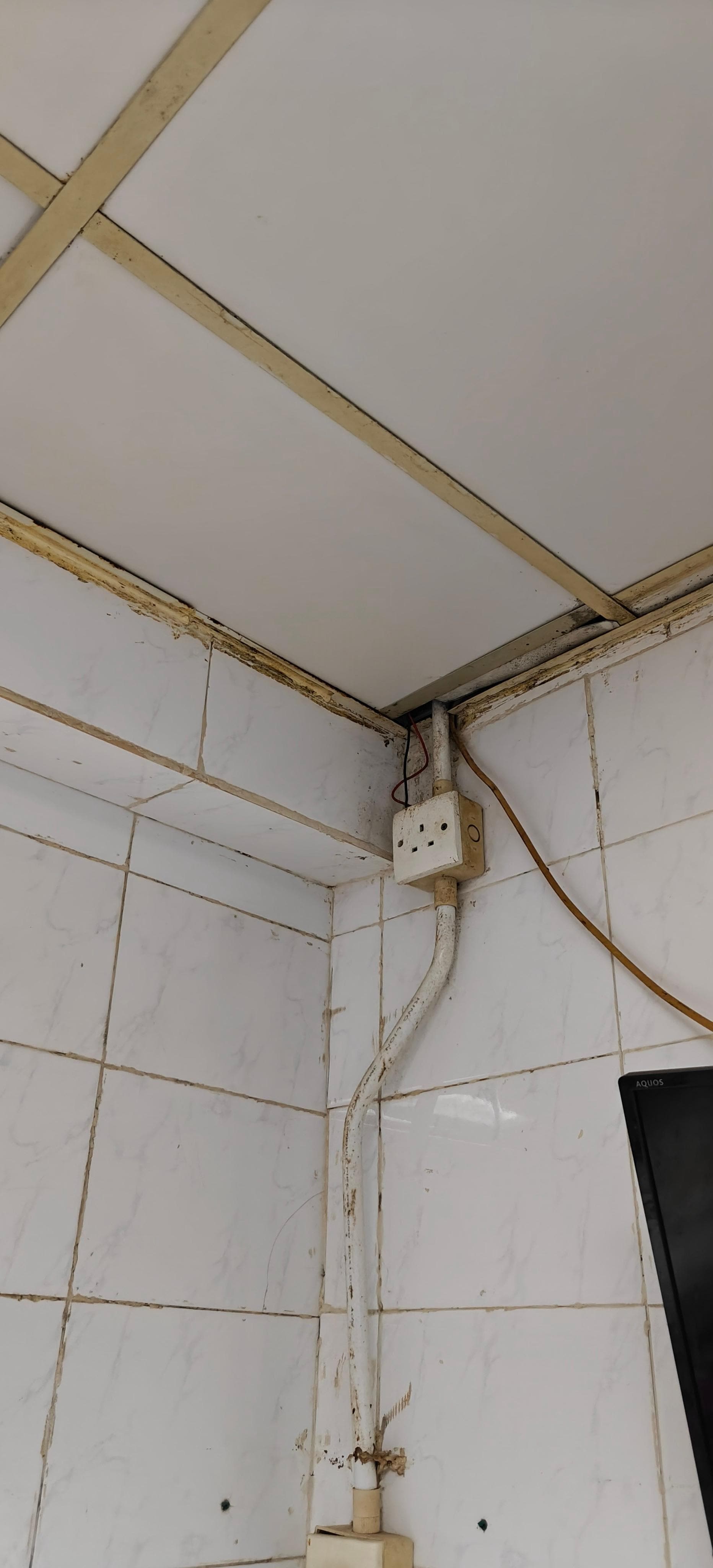 Inside of the room.  The room has a strong smell. With occasional bugs.  