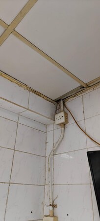 Inside of the room. The room has a strong smell. With occasional bugs.