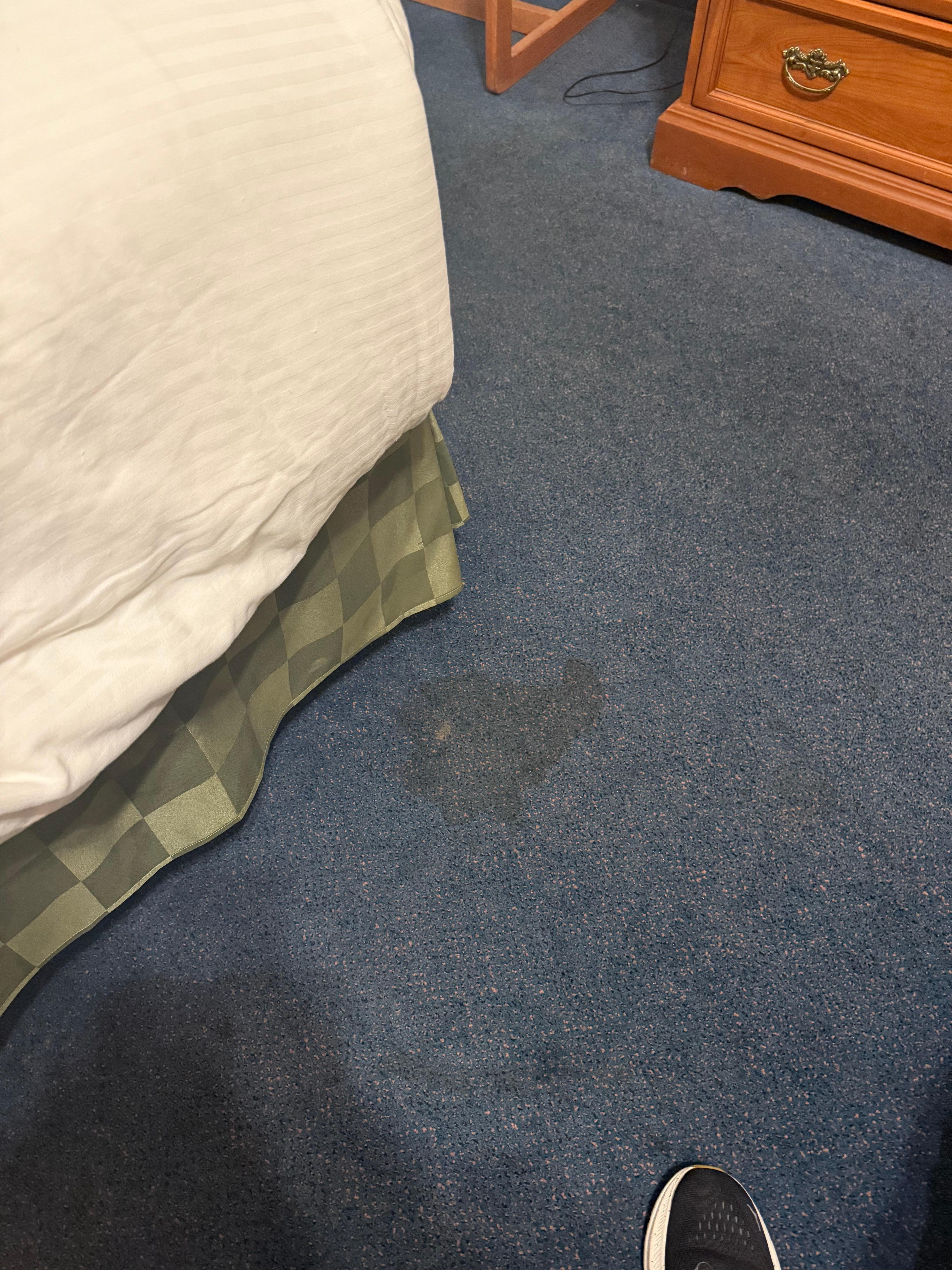 Stained carpet.