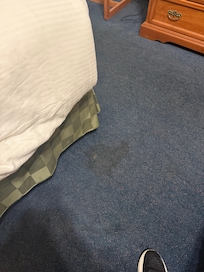Stained carpet.