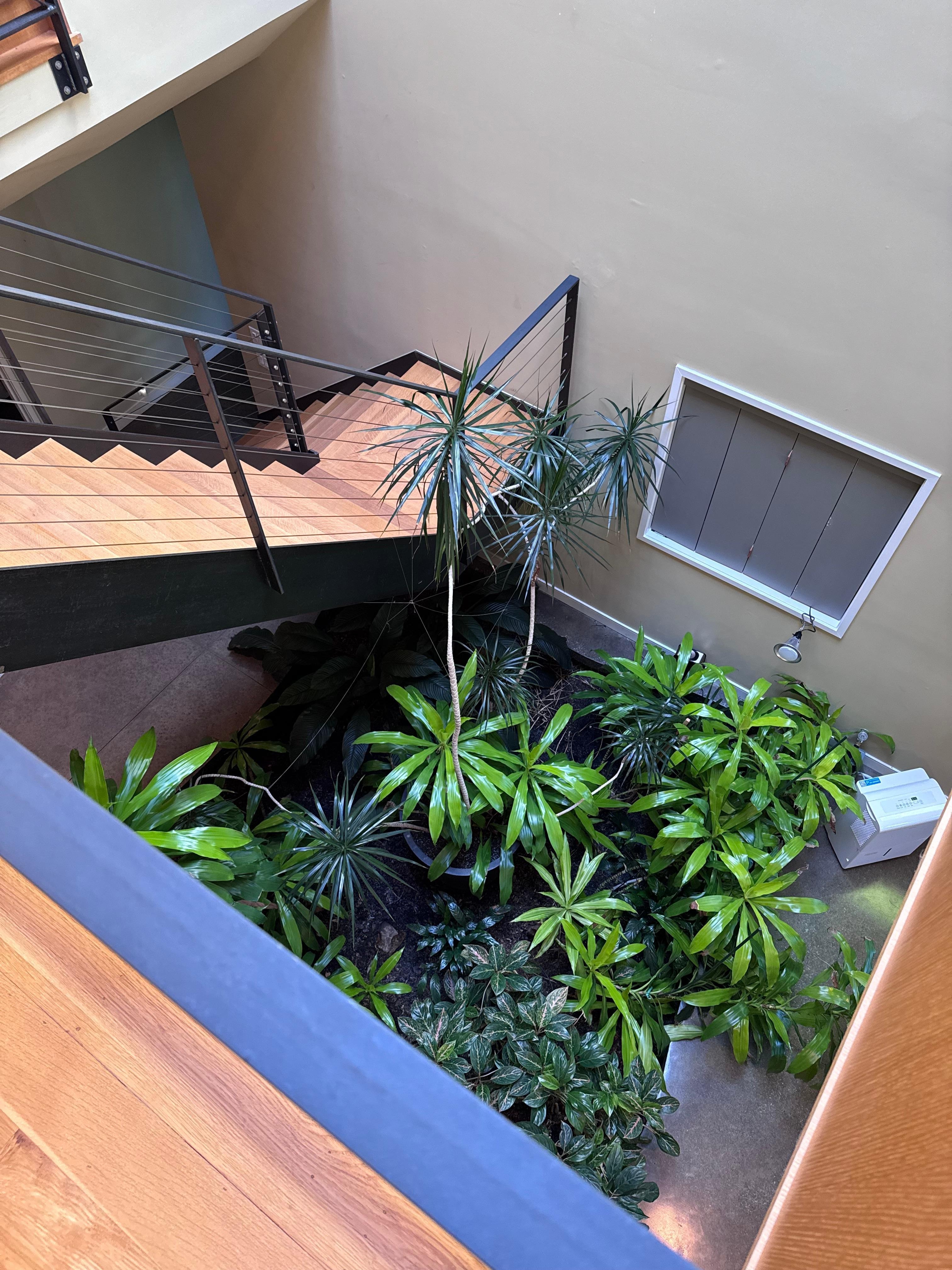 Cool atrium!