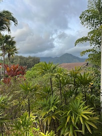 From the side window