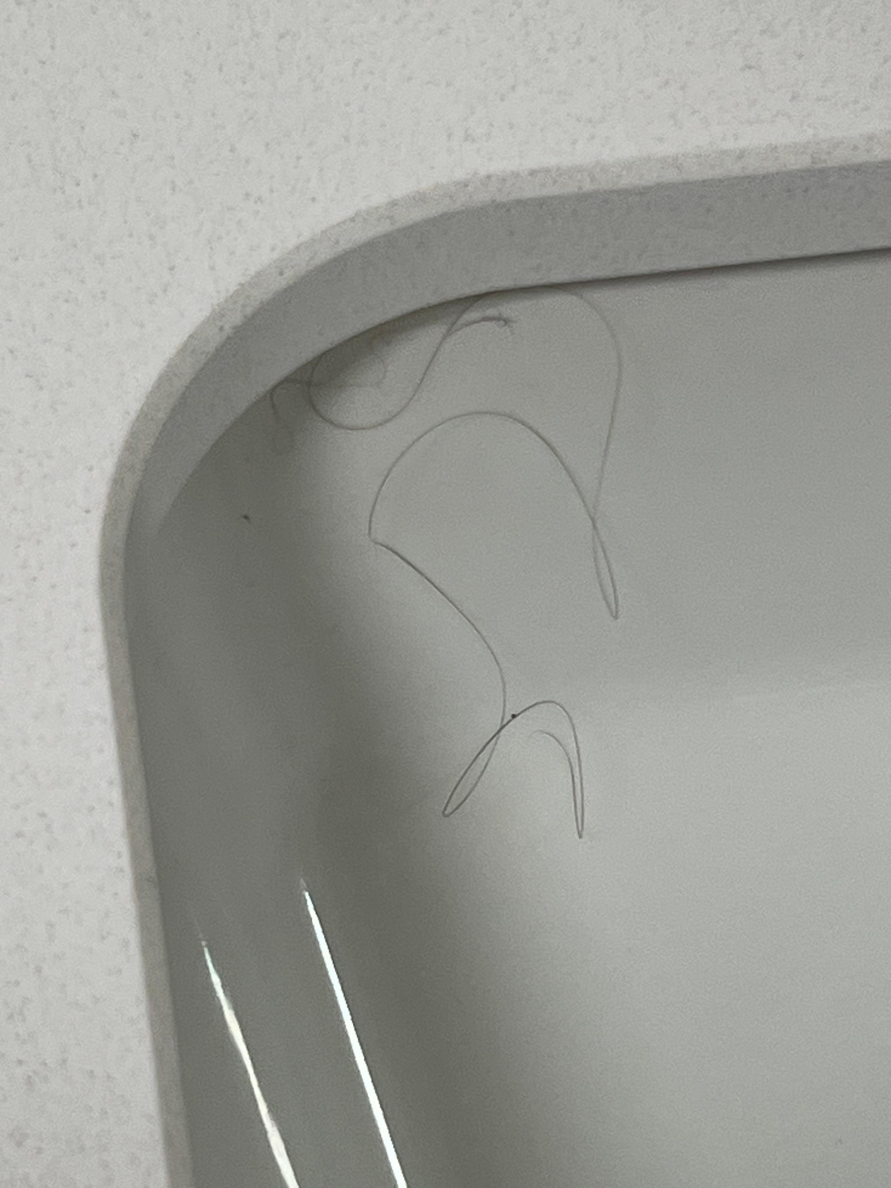 Sink not clean with visible hair