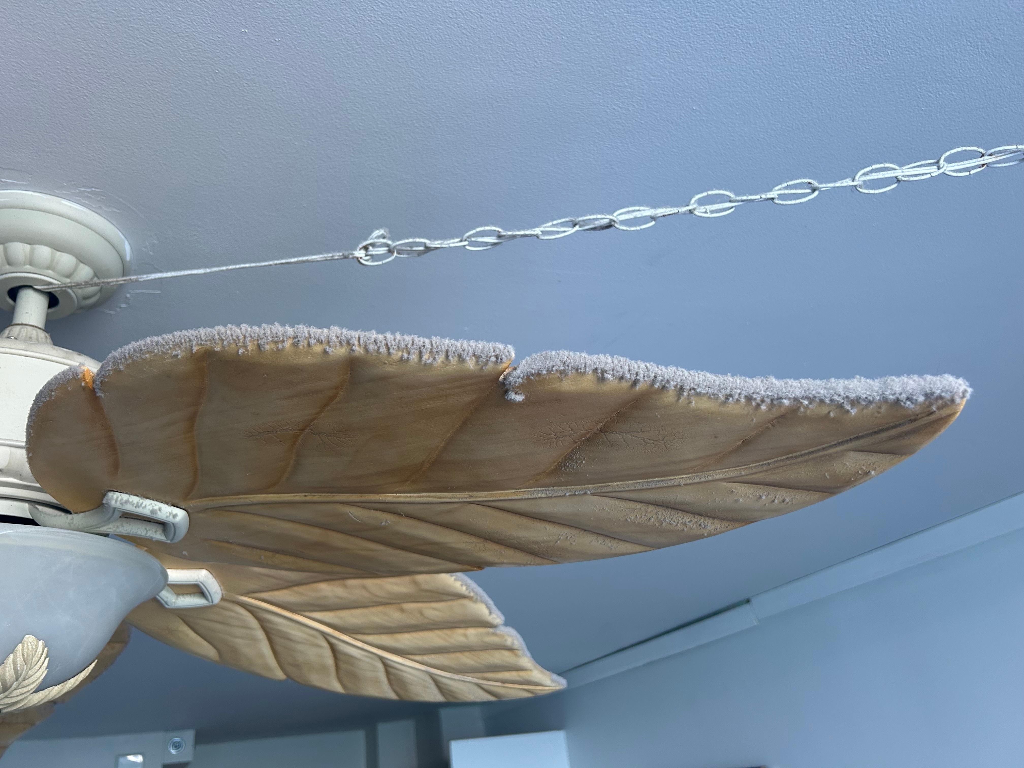 Dust appears to have not been cleaned in years!!