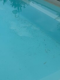 Dirty pool