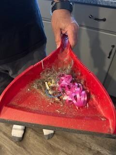 What we swept up upon arrival