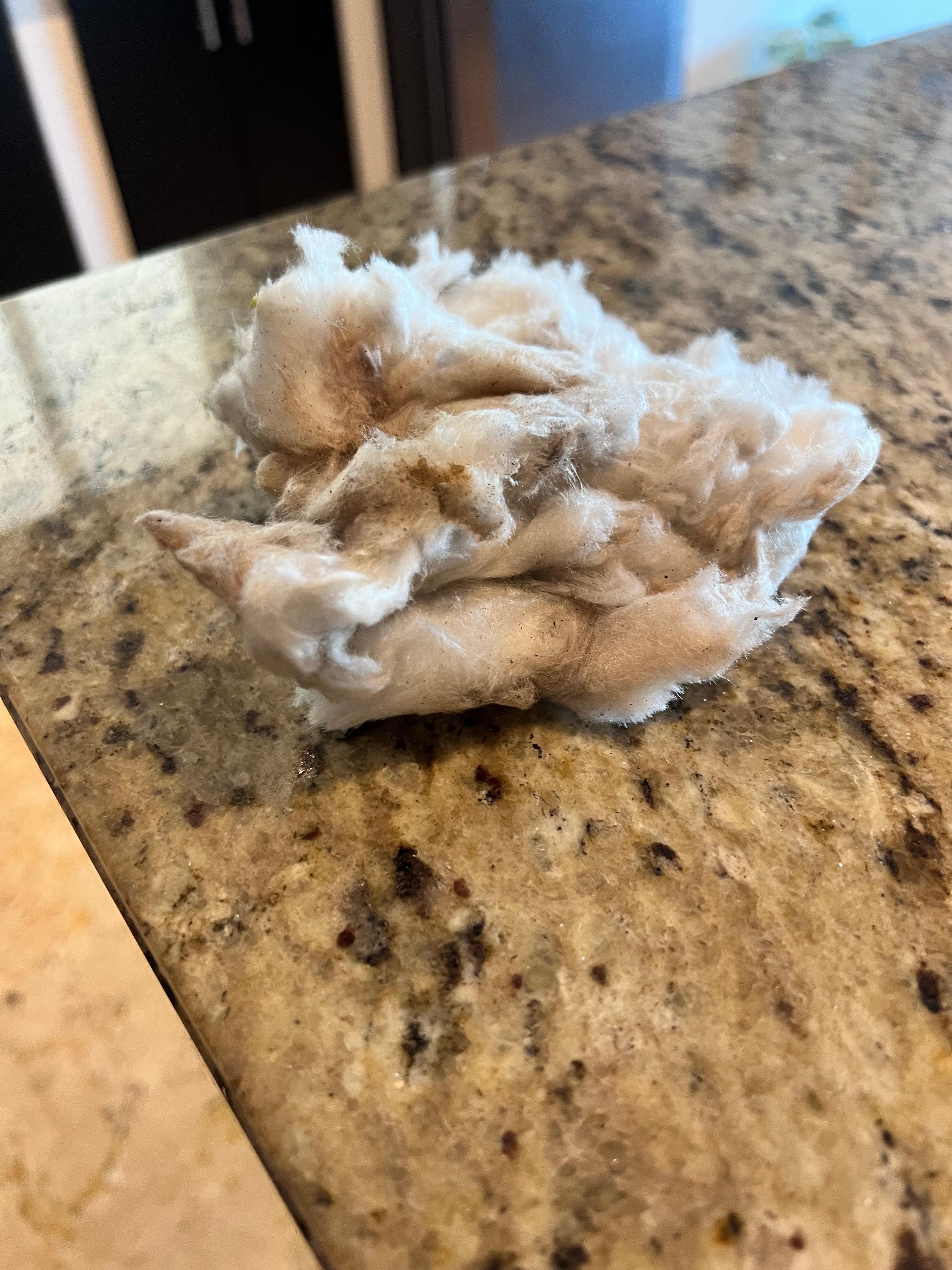 Discovered surrounding the water heater. Maintenance men told me it was DANGEROUS and FLAMMABLE! Asked if I wanted it removed, to which I replied ABSOLUTELY!