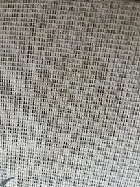 Another animal pee stain on the living room area rug