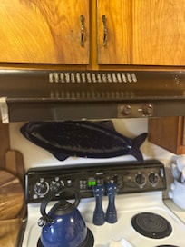 Kitchen stove