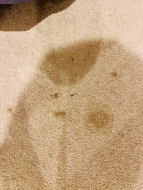 Carpet stains in room