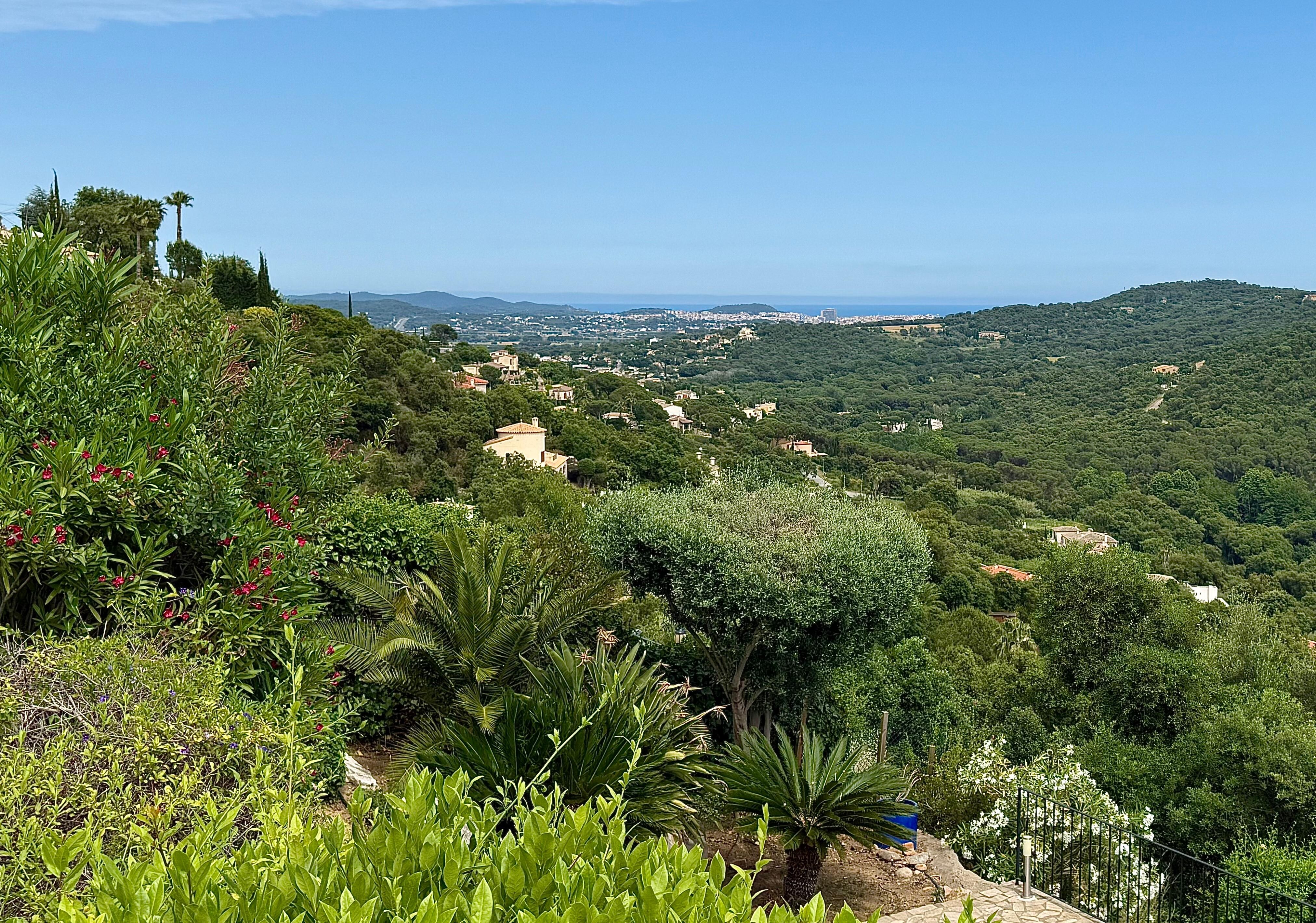 View from the neighborhood