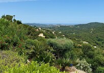 View from the neighborhood