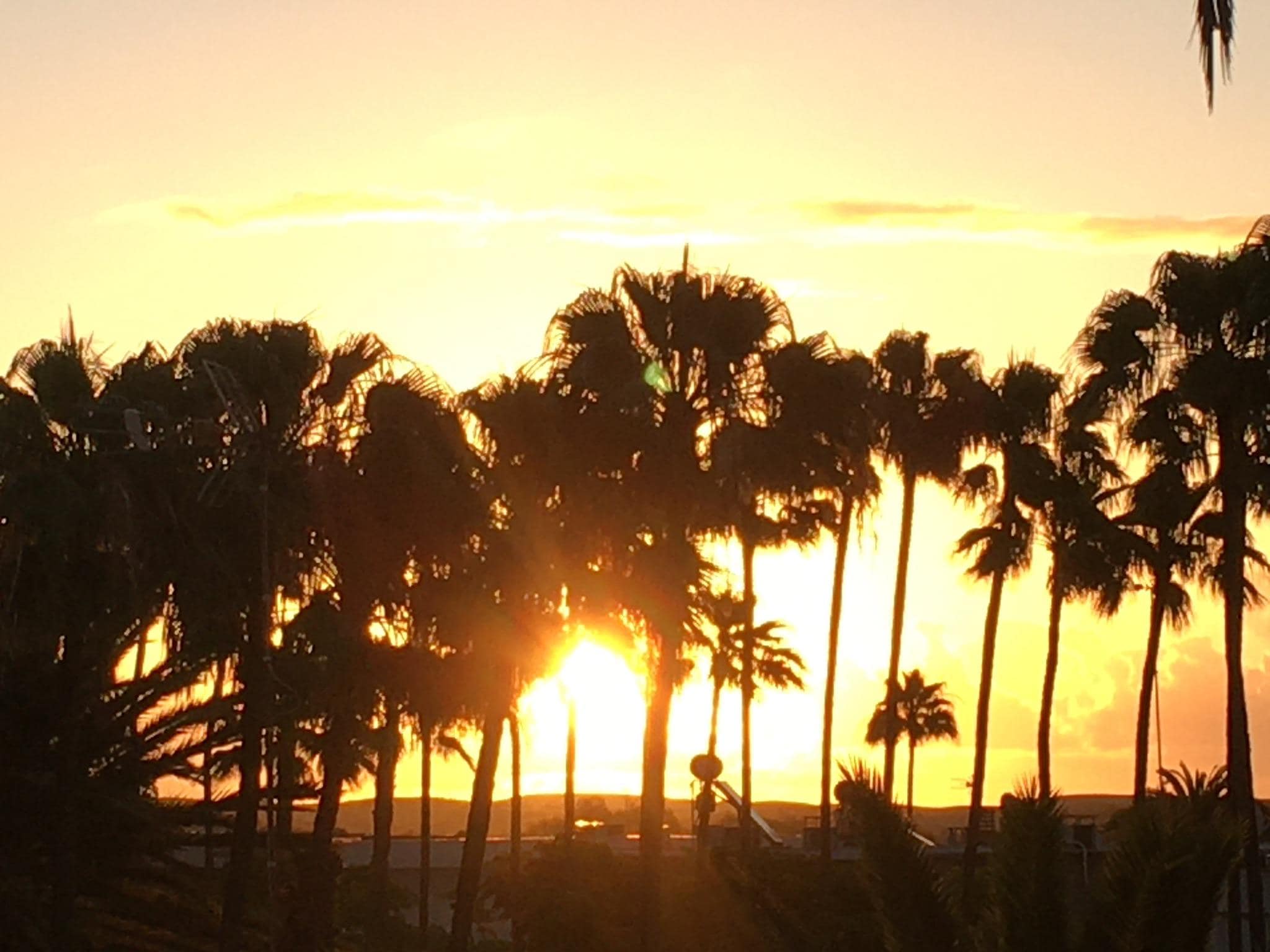 View at sunrise from our balcony 