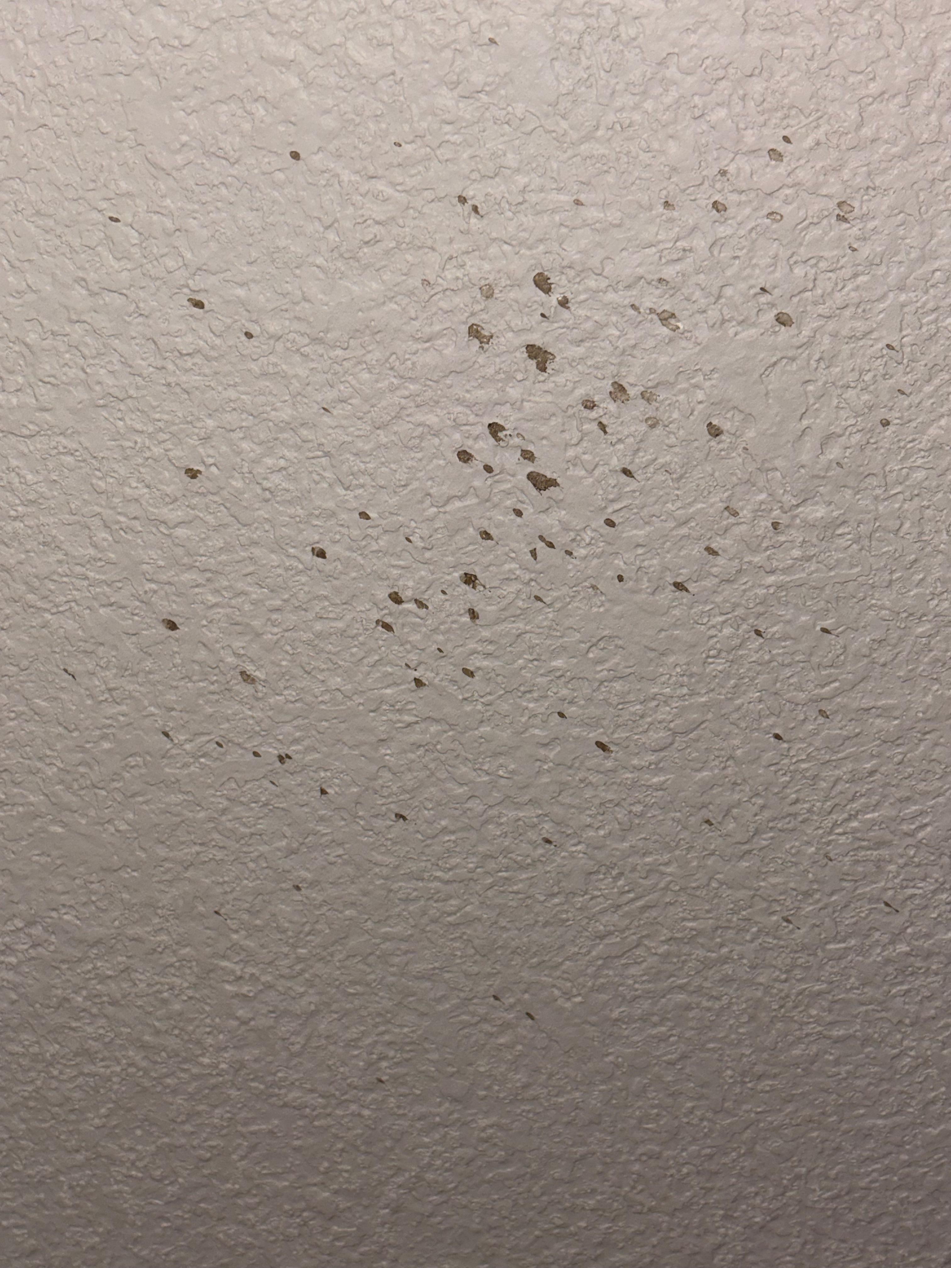 Dried substance on the ceiling in the room. 