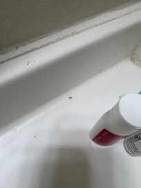 Bug on counter