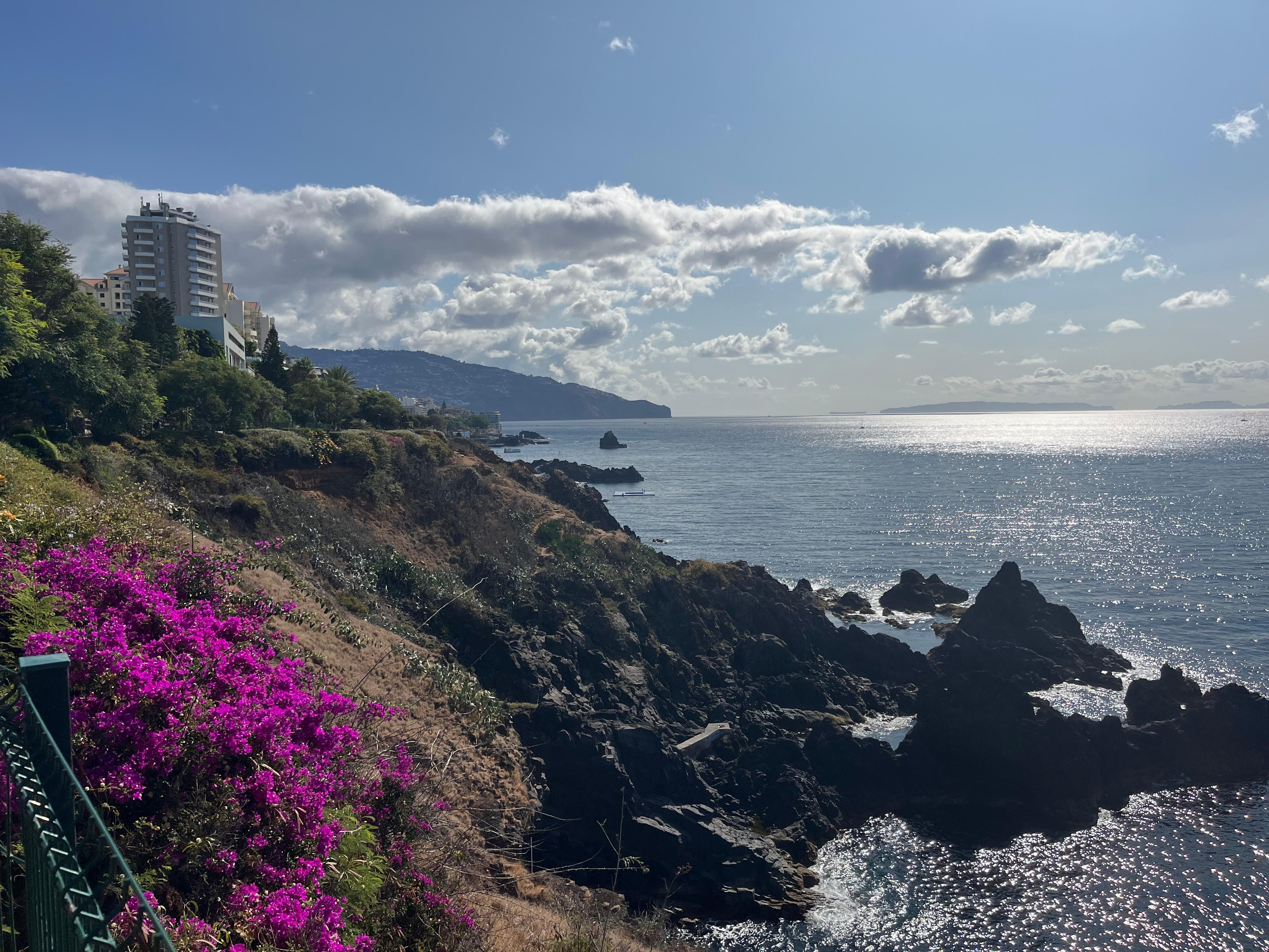 On walk into Funchal