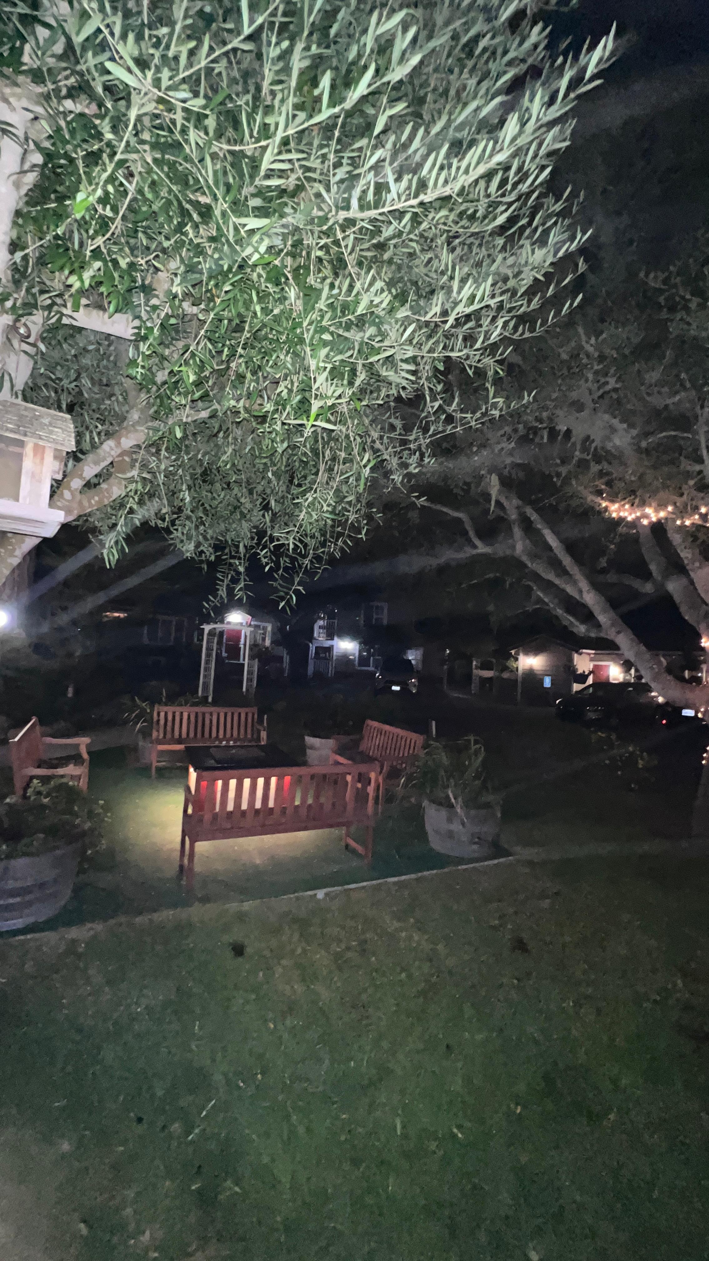 cool fireplace area.