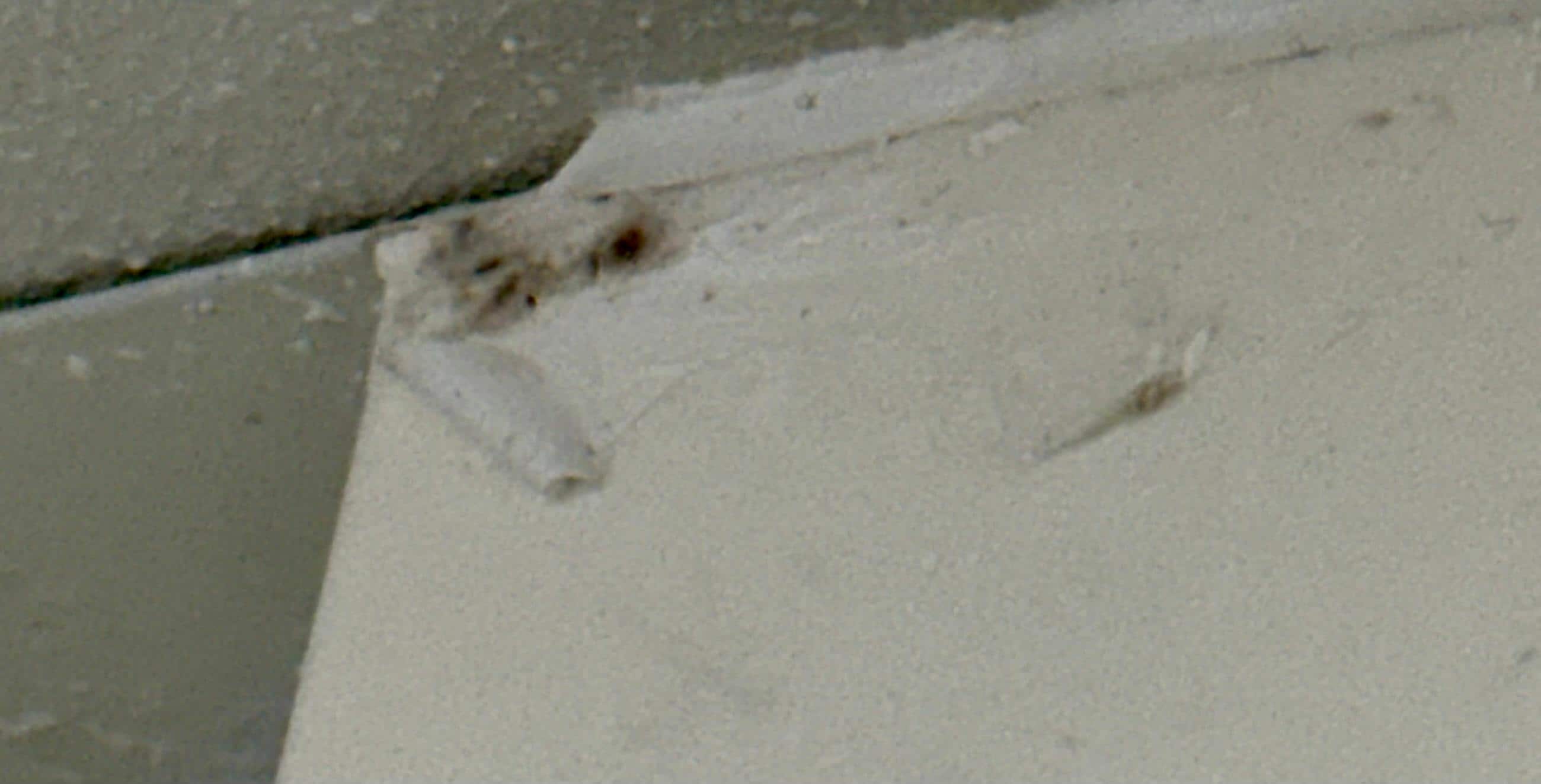 Mildew in shower surround