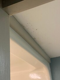Mold on washroom ceiling