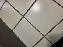 Hair on floor.