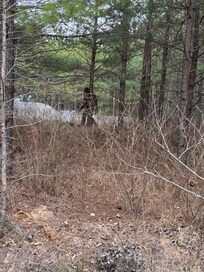 If you’re lucky… you might get a glimpse