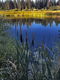 This is a shot I took from the back deck. Absolutely gorgeous!