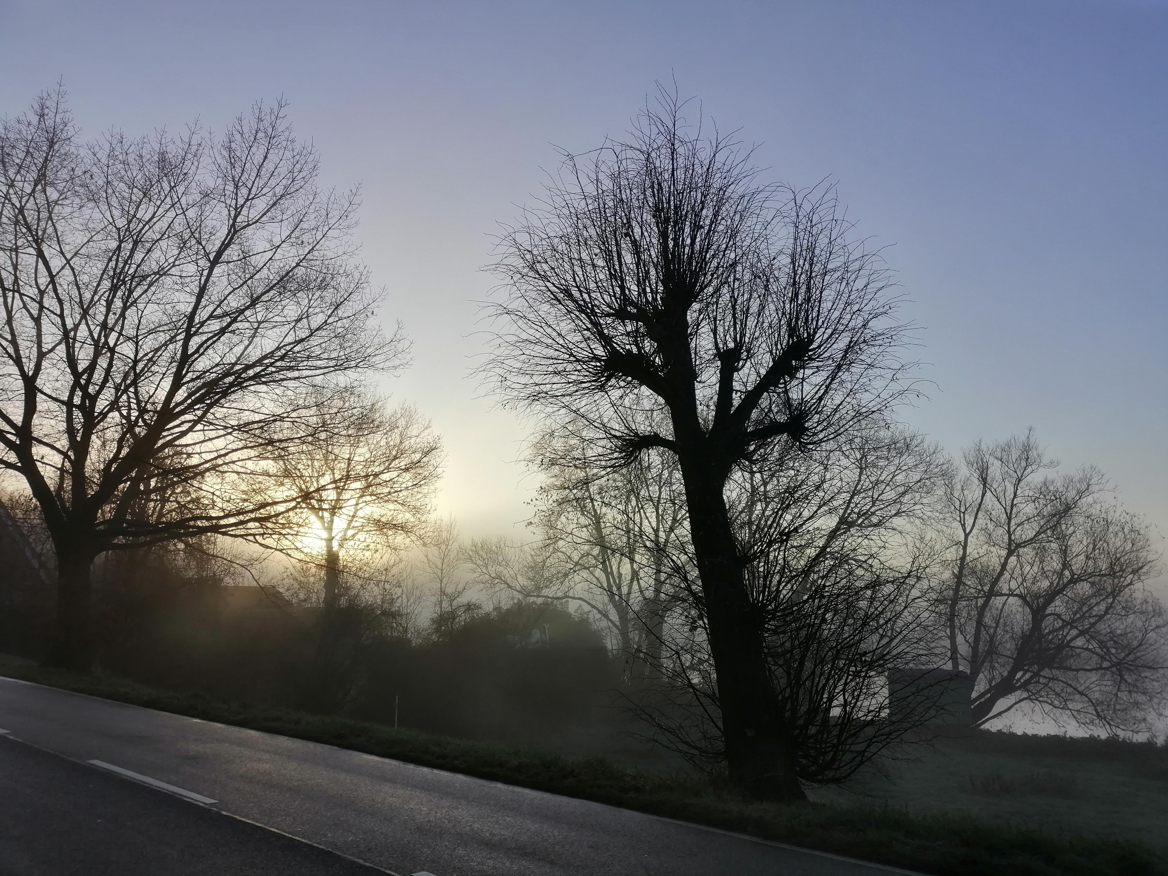Blick von der Bushaltestelle auf die Dove-Elbe