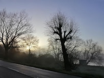 Blick von der Bushaltestelle auf die Dove-Elbe
