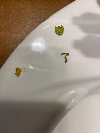 Food that came up from drain