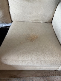 Dog hair found on couch.
