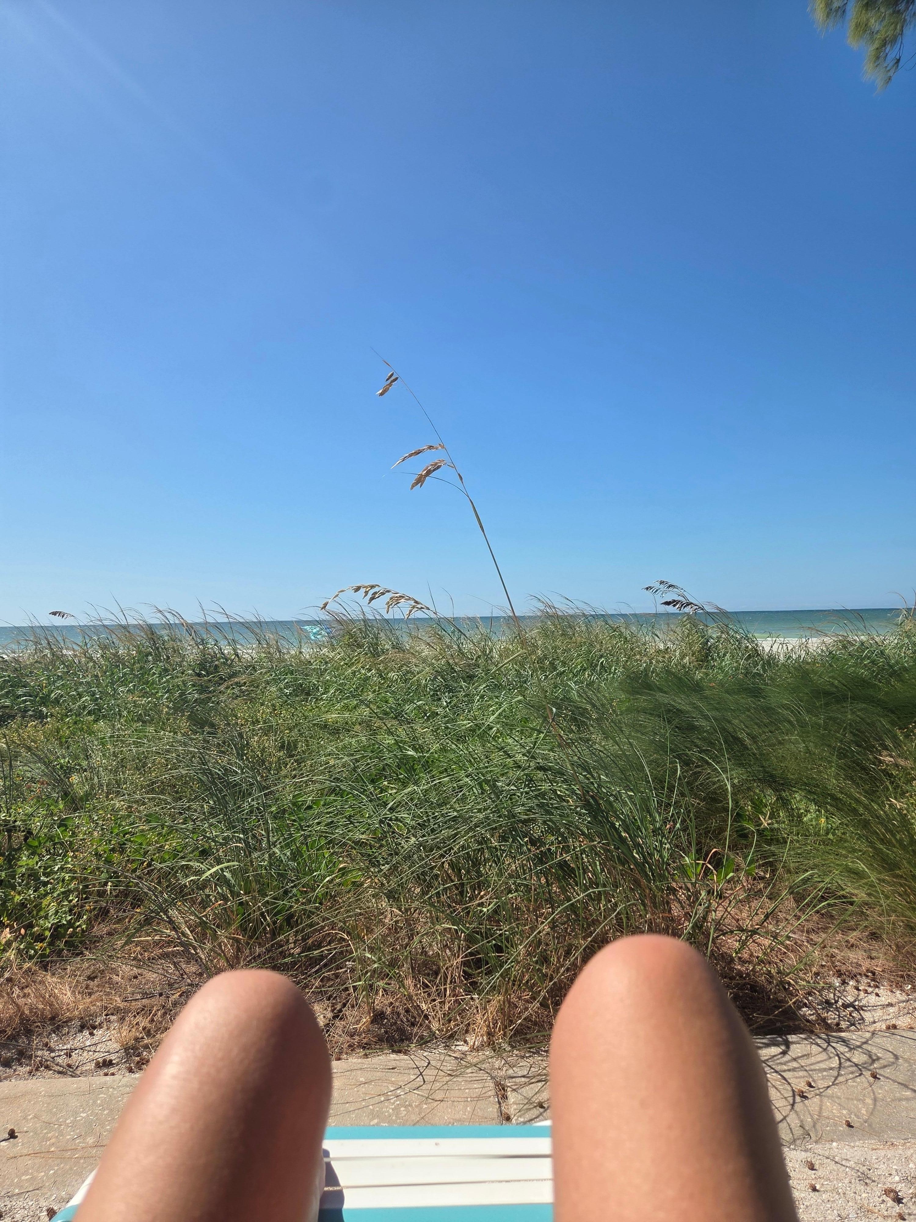 Sunning on the property 