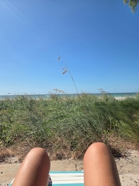 Sunning on the property