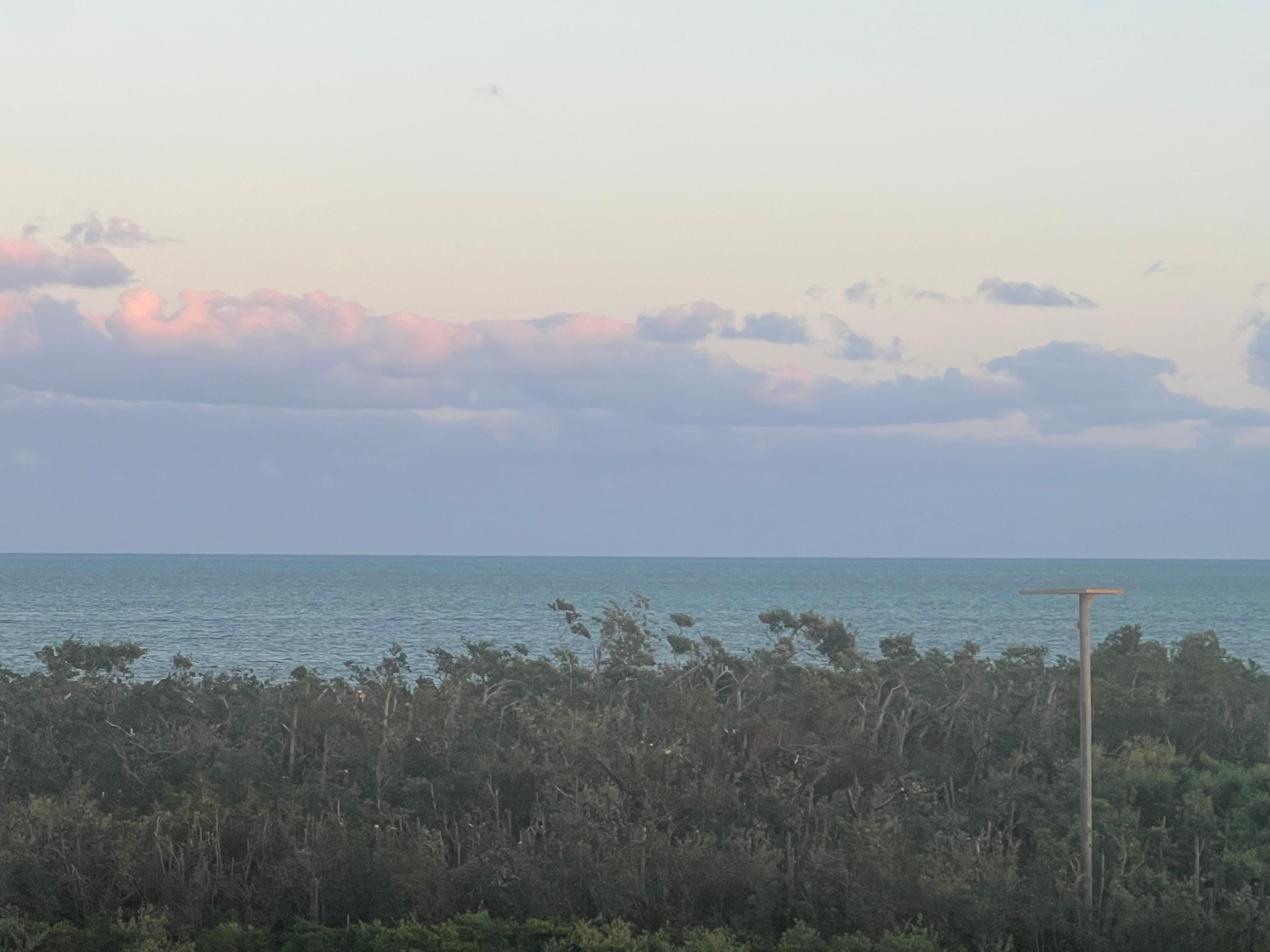 From ocean view room