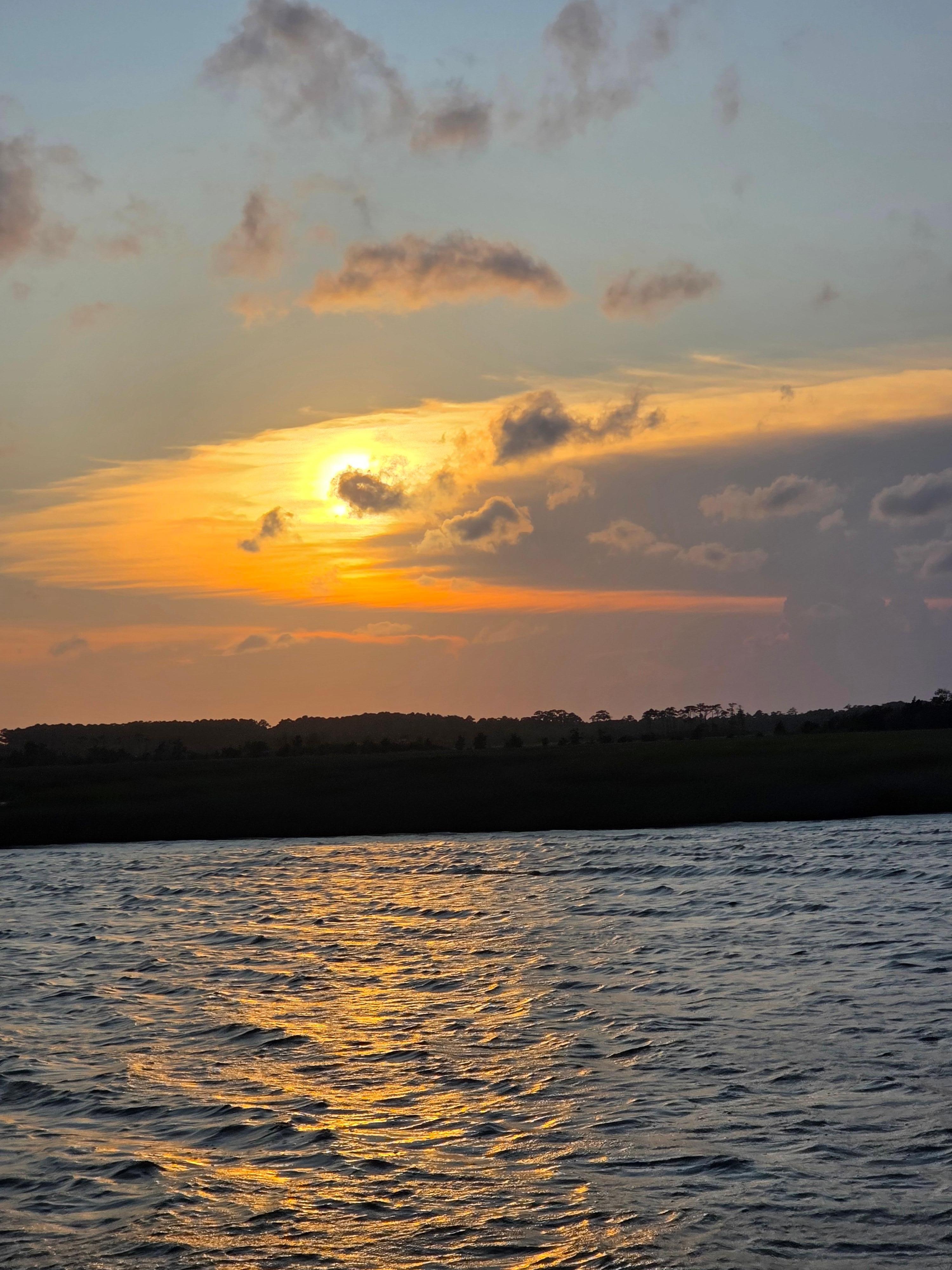 Sunset cruise dolphin watching