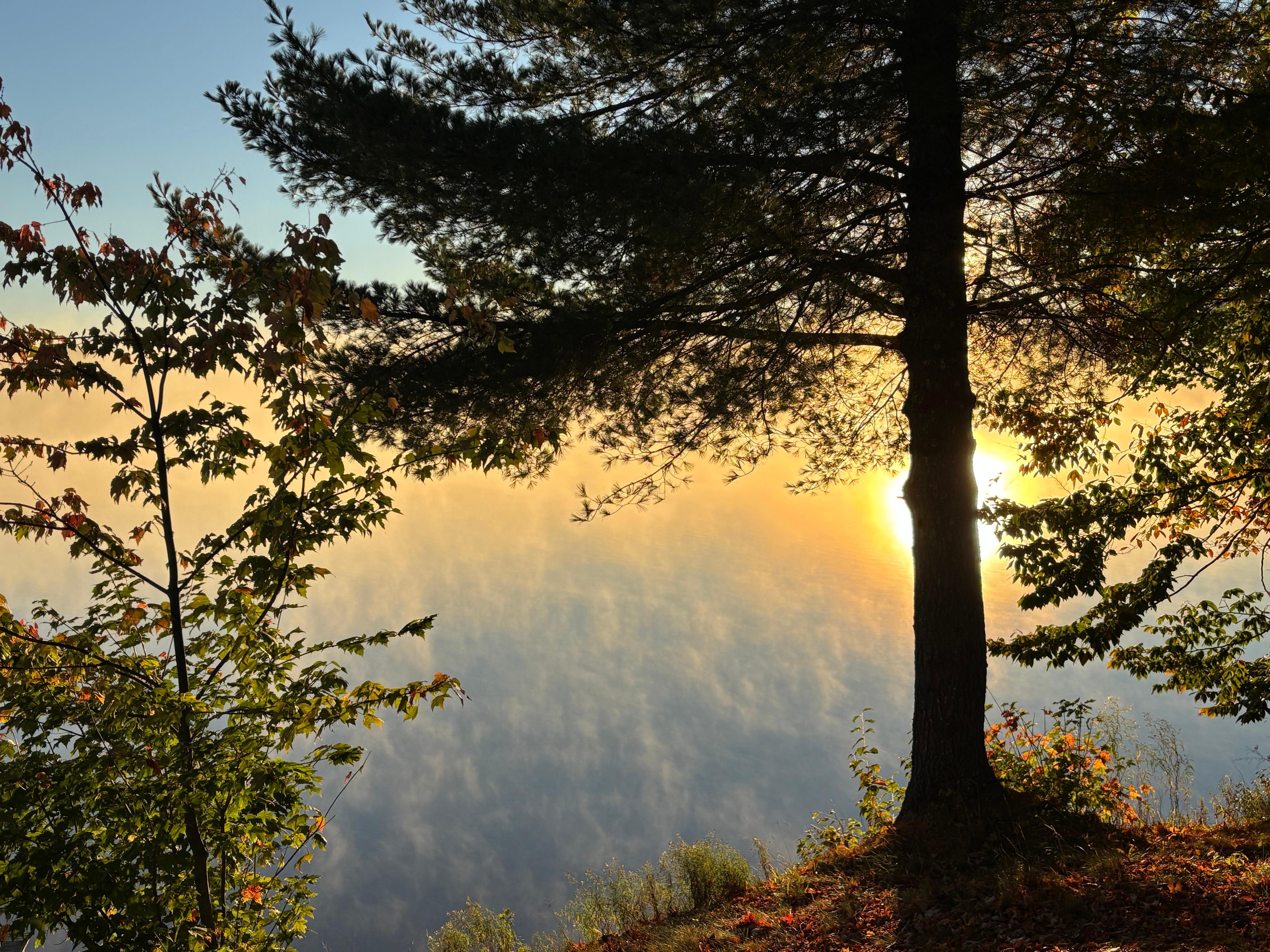 Beautiful morning mist on the lake at dawn.