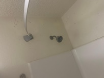 Mold on walls