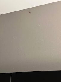 Bedroom roach