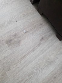 Floor never swept or moped