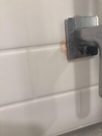 MOLD