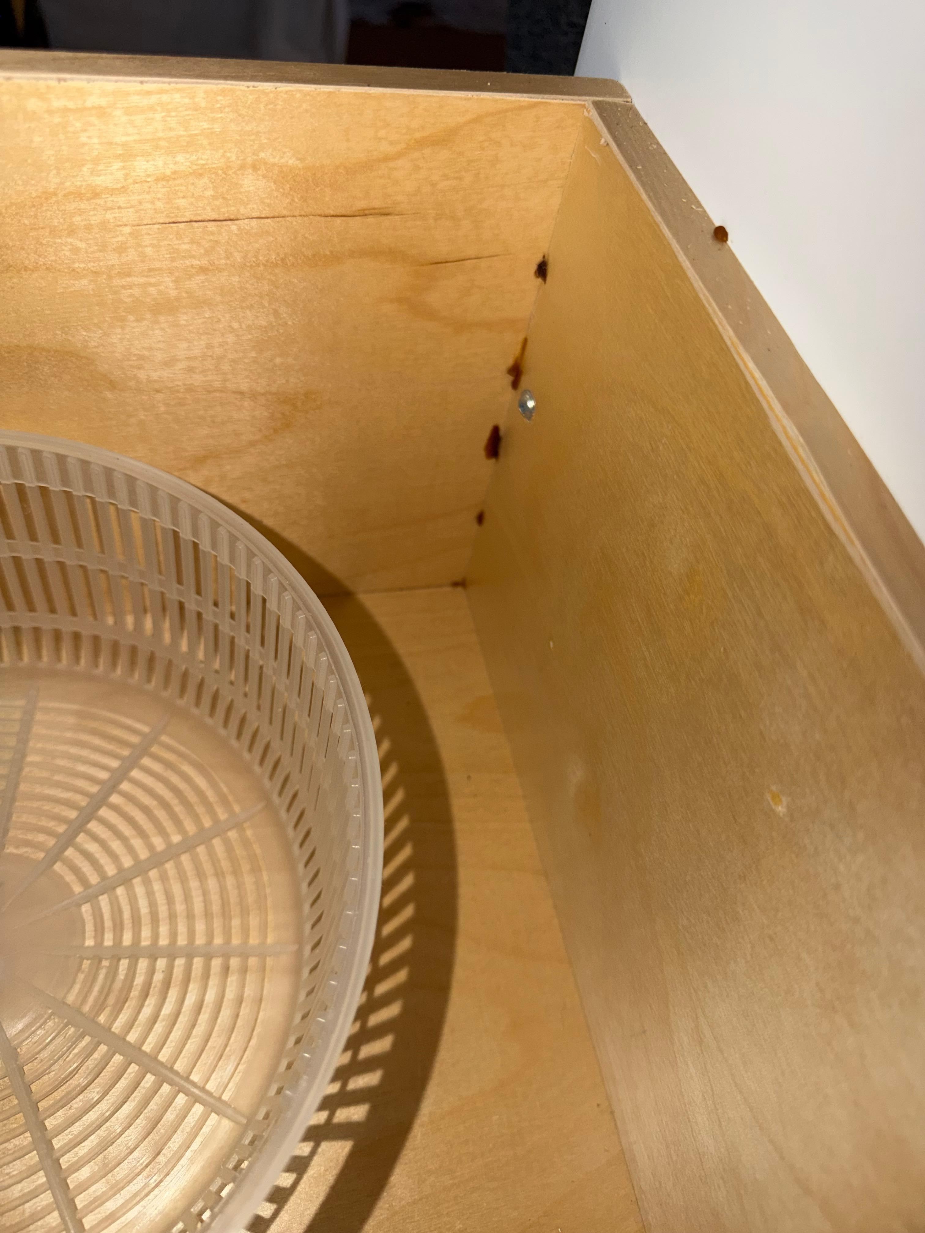 Roach bait inside drawer. 