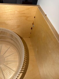 Roach bait inside drawer.