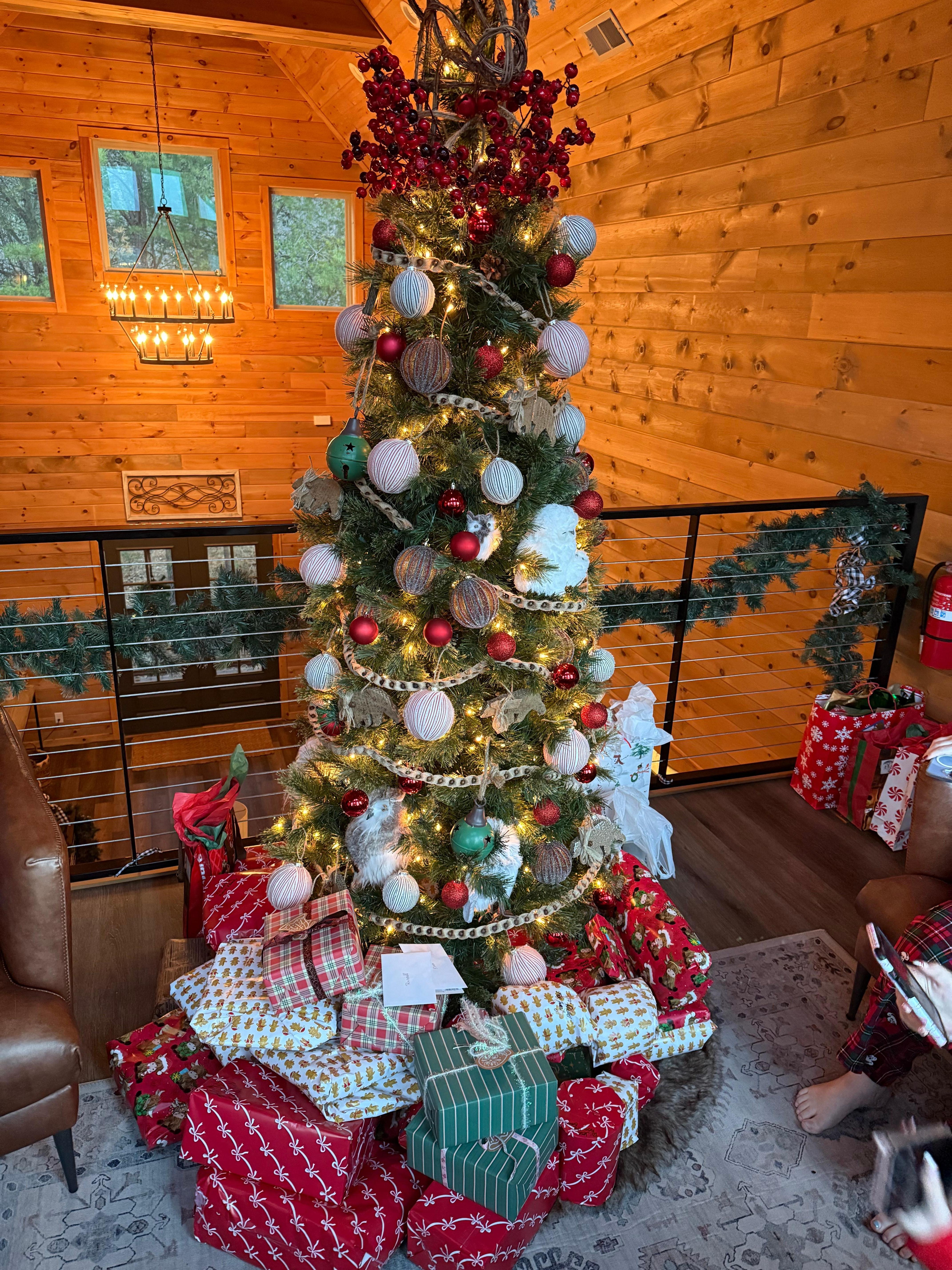 All 8 of us sat around the tree to open presents!