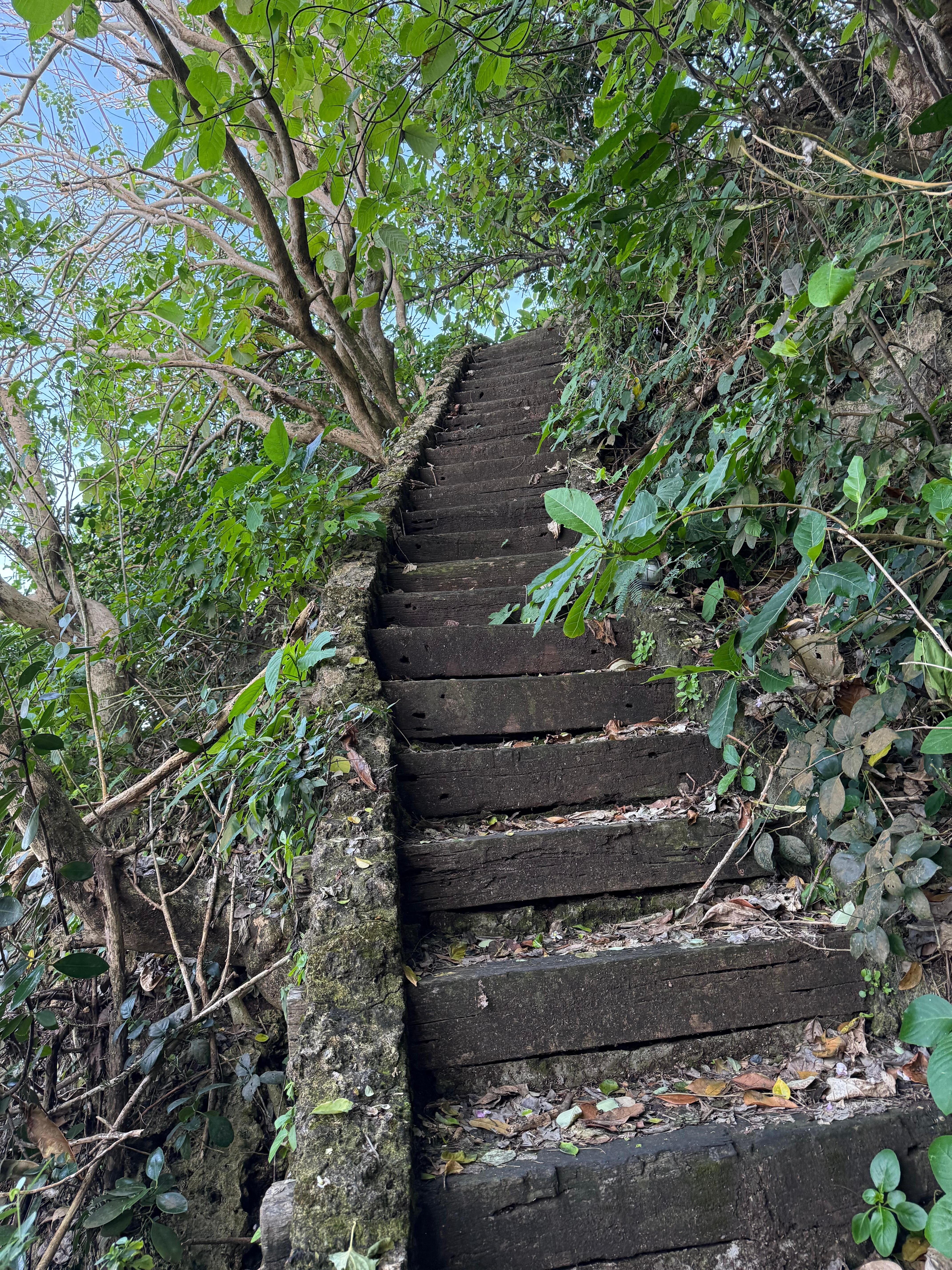 Stairs down to beach challenging hike