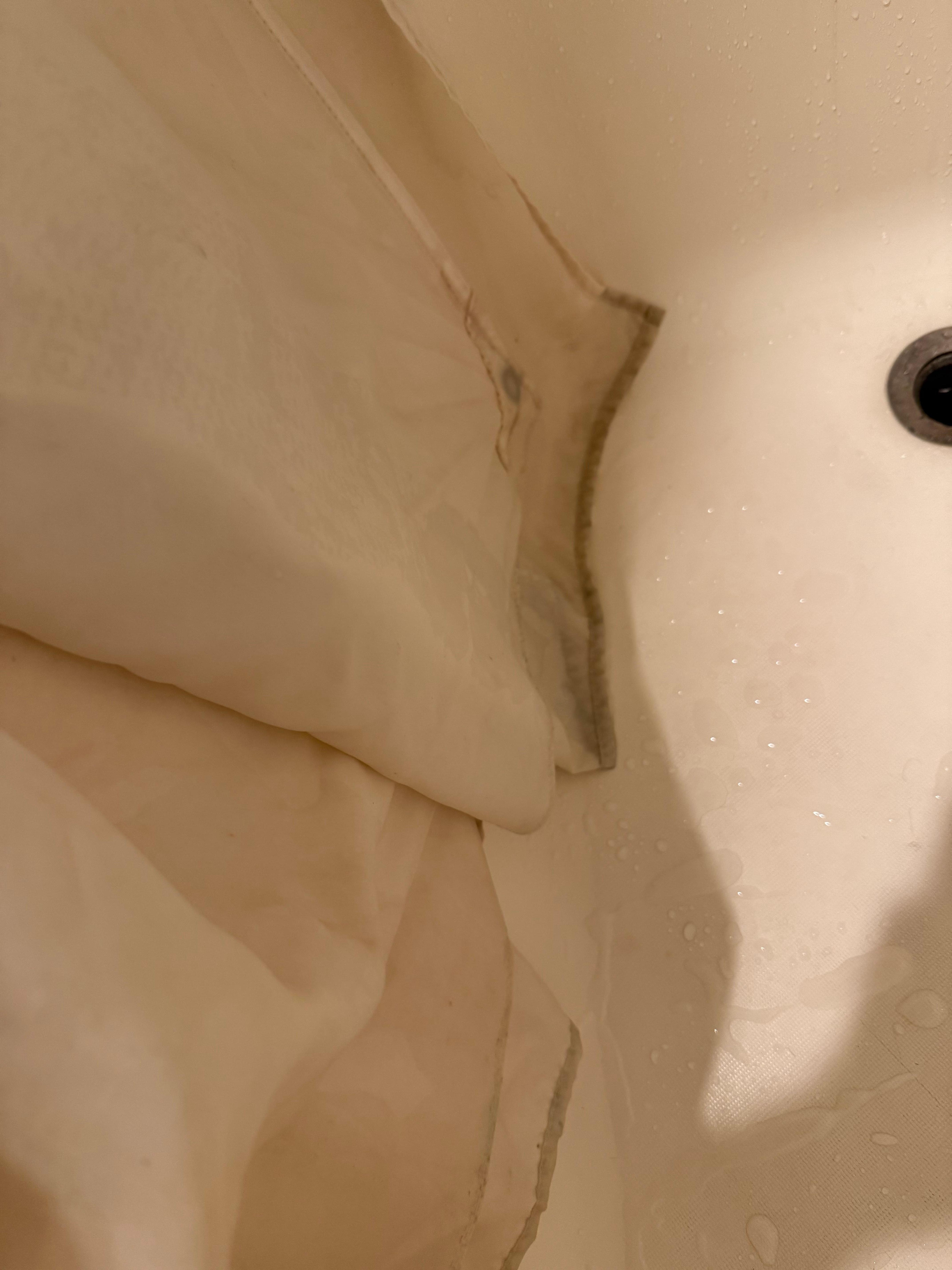 Moldy shower curtain 