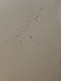Mystery splatter on the ceiling